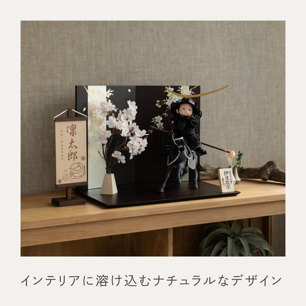 ことのわんぱくシリーズ とも(伊達)平台 しだれ桜 子供大将