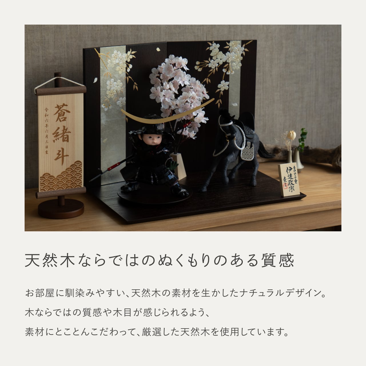ことのわんぱくシリーズ　とも（伊達）平台　しだれ桜　子供大将